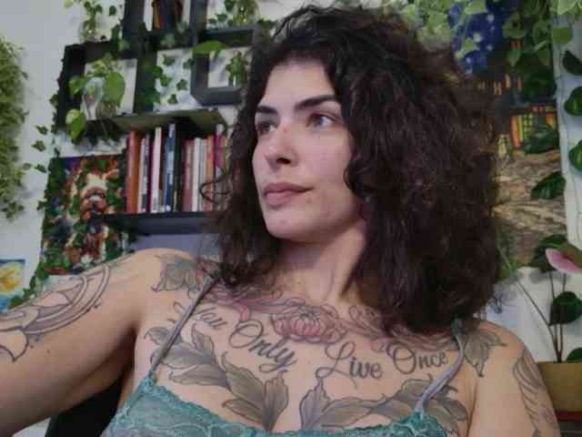 talimajesty webcam