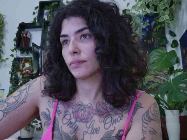 talimajesty webcam