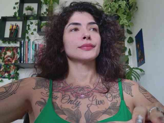 talimajesty webcam