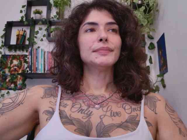 talimajesty webcam