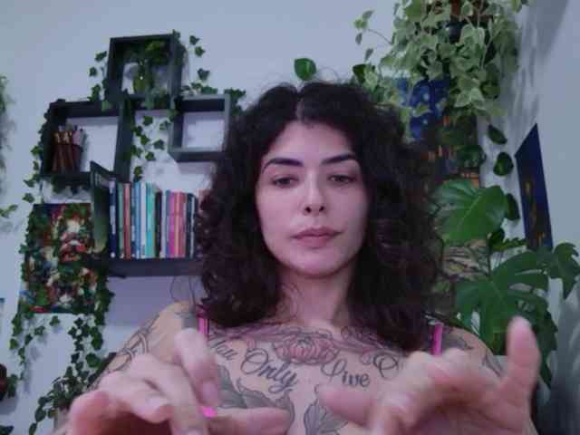 talimajesty webcam