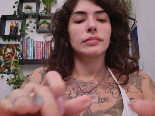 talimajesty webcam