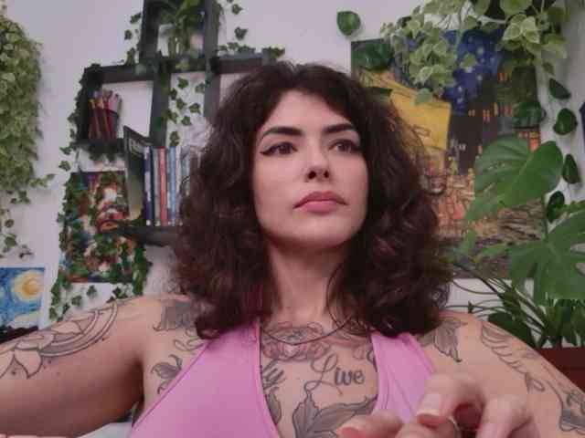 talimajesty webcam