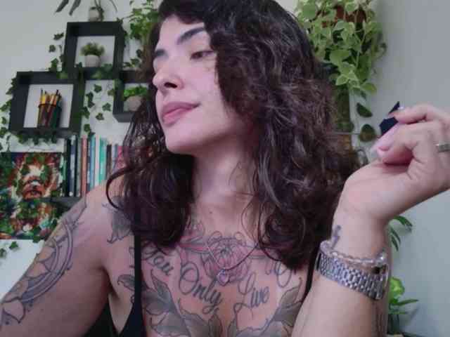 talimajesty webcam