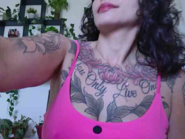 talimajesty webcam