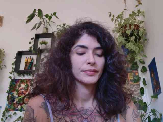 talimajesty webcam