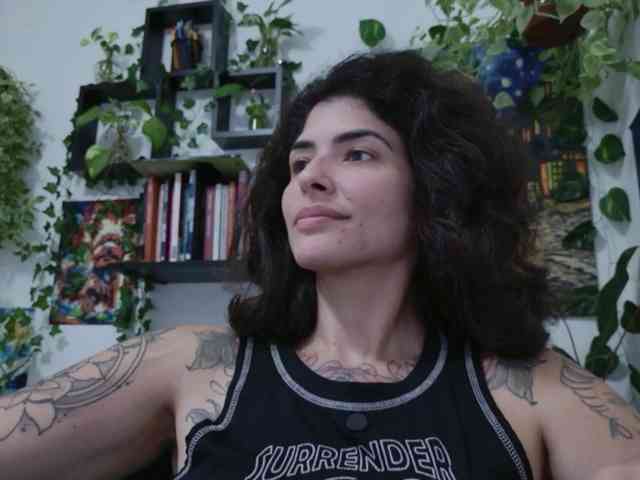 talimajesty webcam