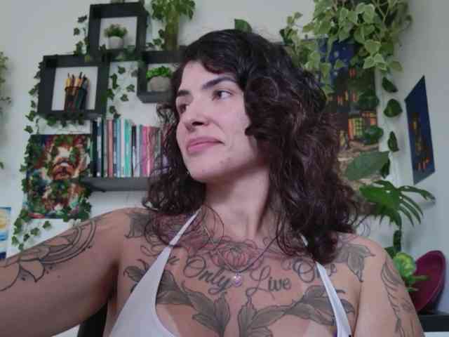 talimajesty webcam