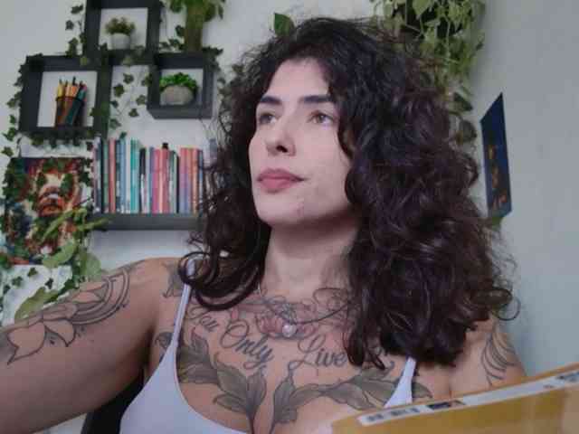 talimajesty webcam