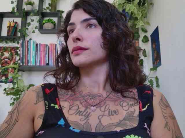 talimajesty webcam