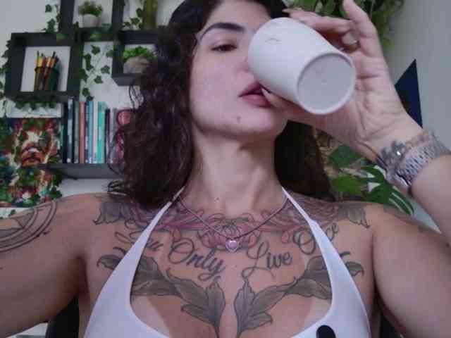 talimajesty webcam