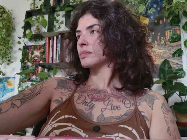 talimajesty webcam