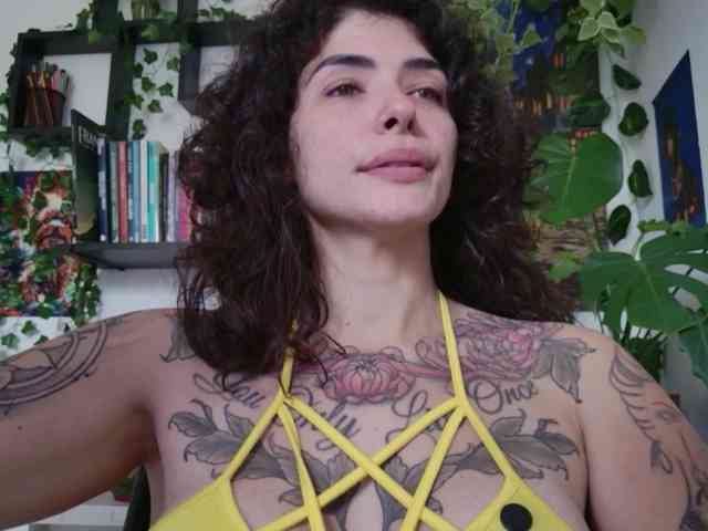talimajesty webcam