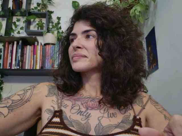 talimajesty webcam