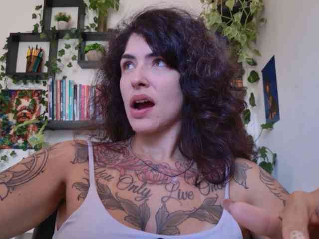 talimajesty webcam