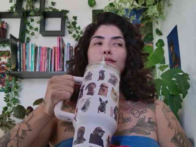 talimajesty webcam