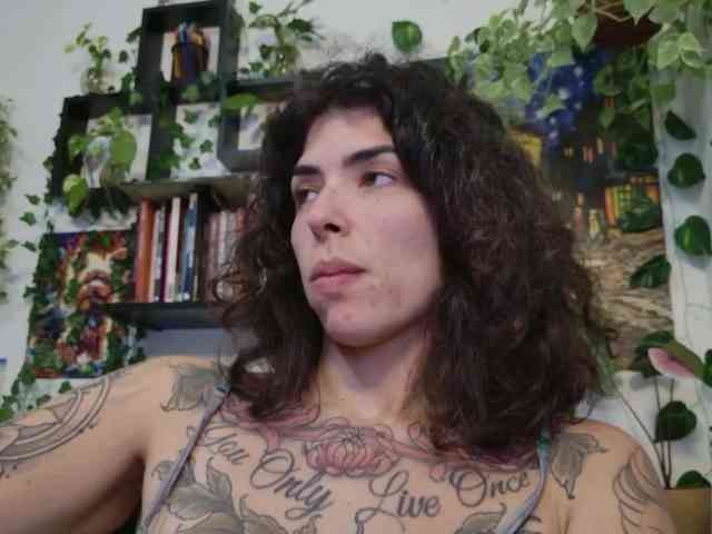 talimajesty webcam