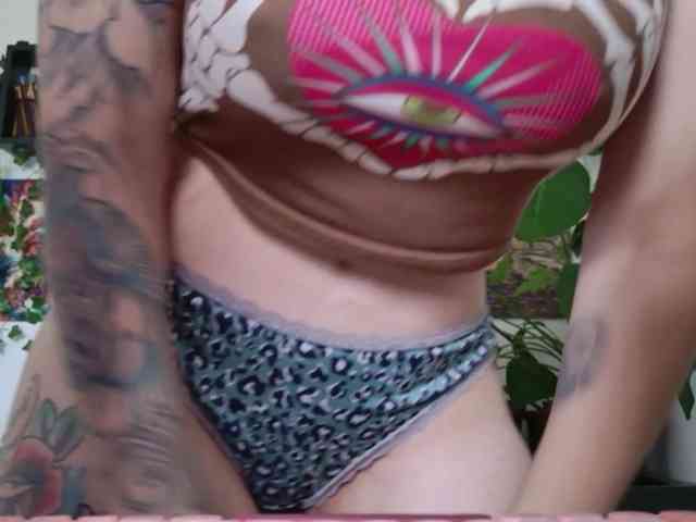 talimajesty webcam