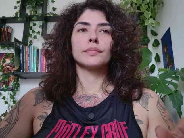 talimajesty webcam