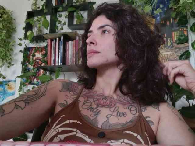 talimajesty webcam