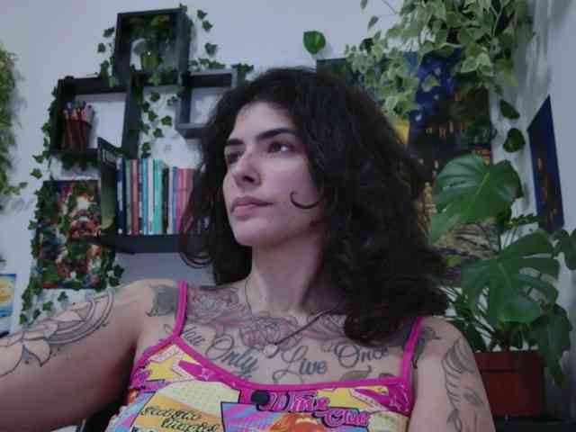 talimajesty webcam