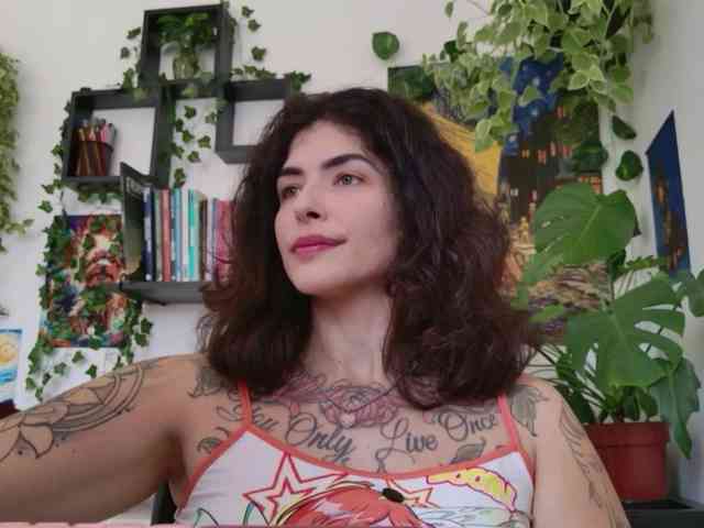 talimajesty webcam