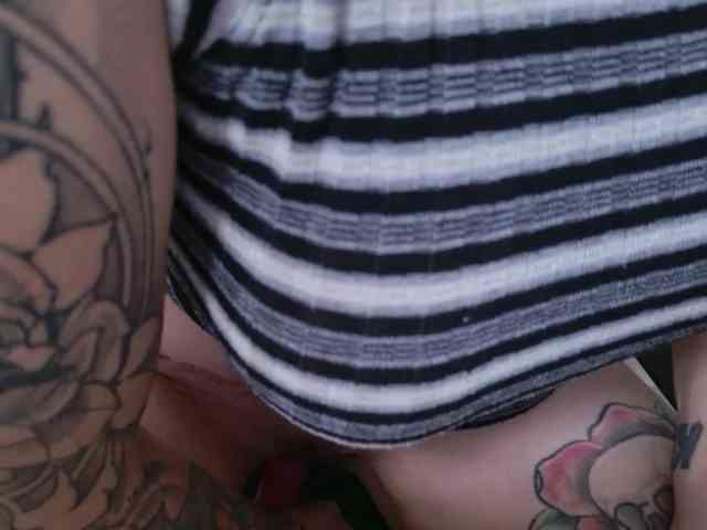 talimajesty webcam