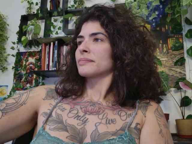 talimajesty webcam