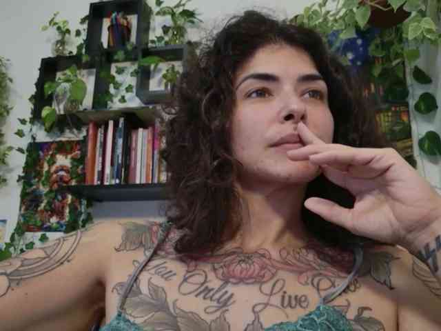 talimajesty webcam