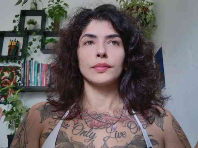 talimajesty webcam