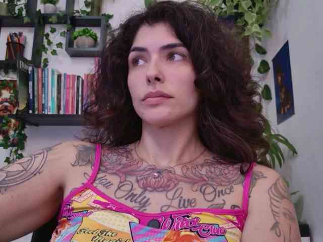 talimajesty webcam