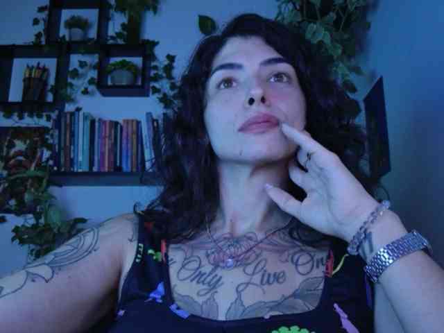 talimajesty webcam
