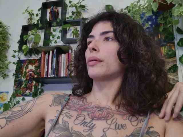 talimajesty webcam