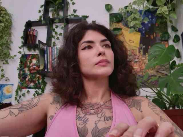 talimajesty webcam