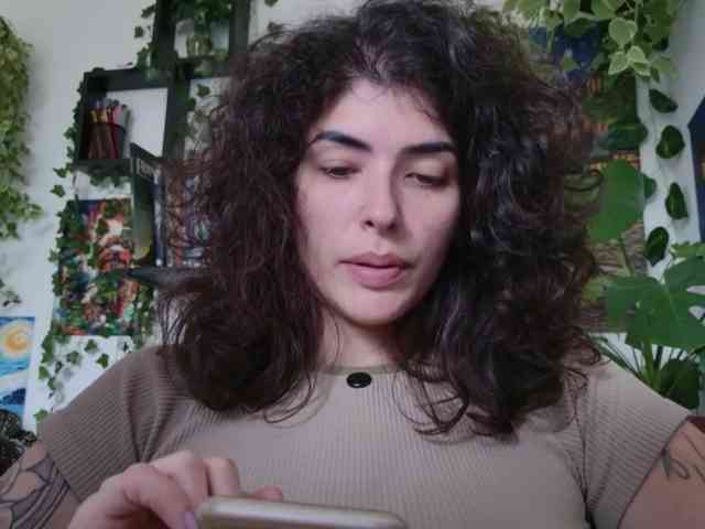 talimajesty webcam