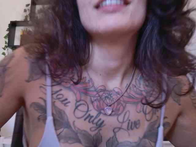 talimajesty webcam