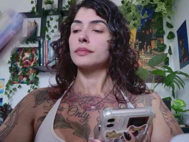 talimajesty webcam