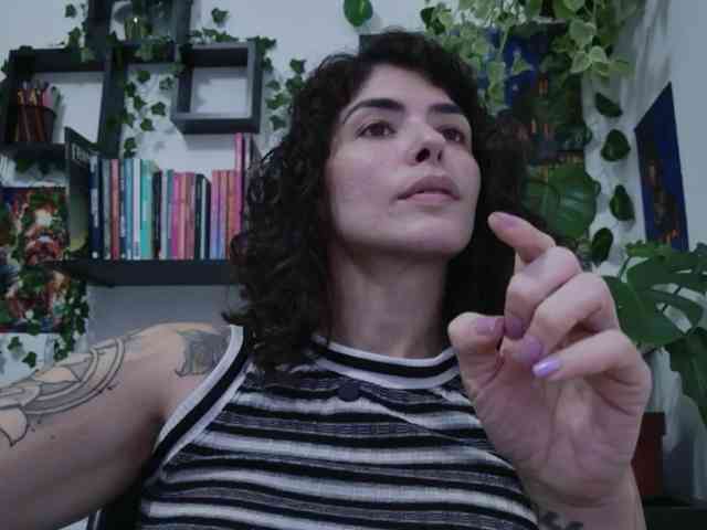 talimajesty webcam