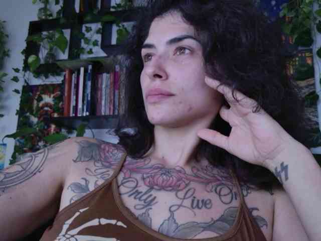 talimajesty webcam