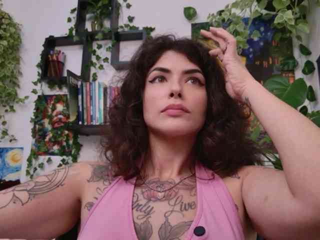 talimajesty webcam