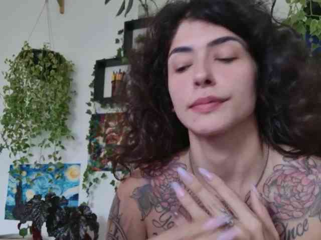talimajesty webcam