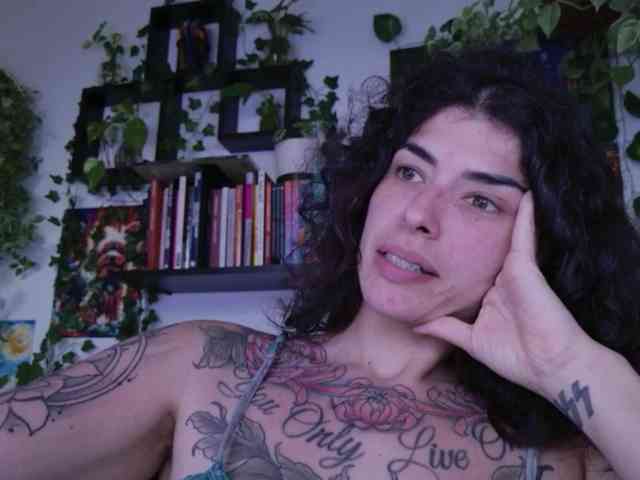 talimajesty webcam