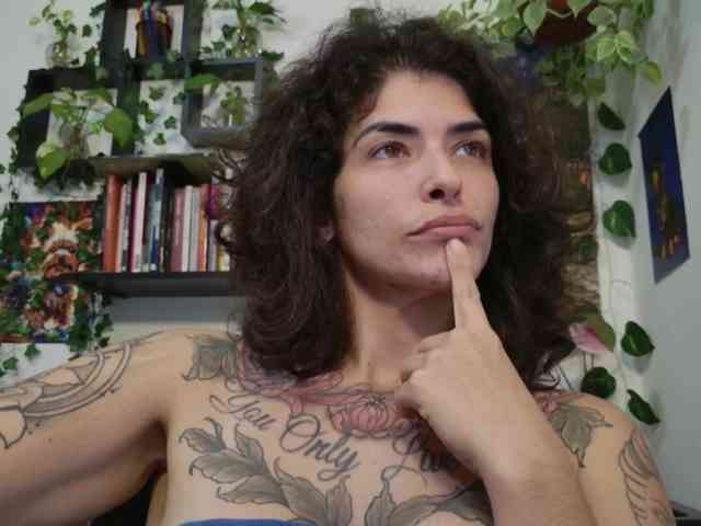 talimajesty webcam