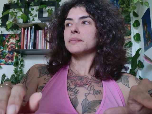 talimajesty webcam