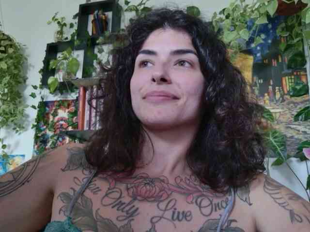 talimajesty webcam
