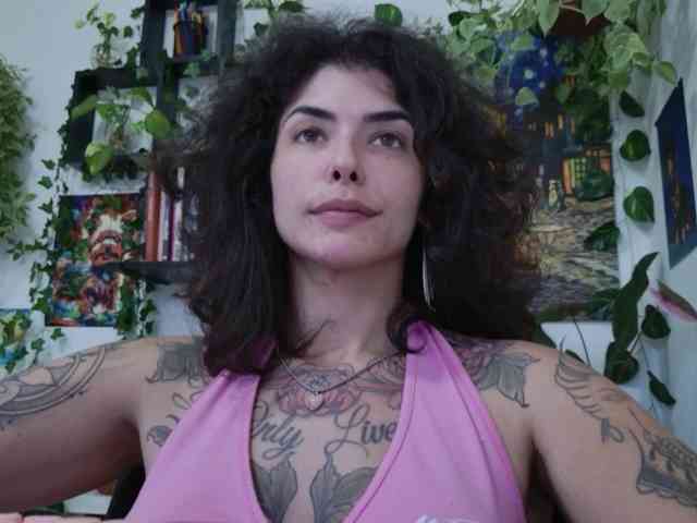 talimajesty webcam