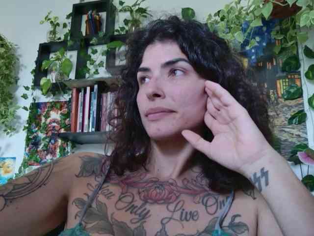 talimajesty webcam