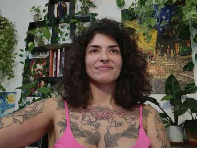 talimajesty webcam
