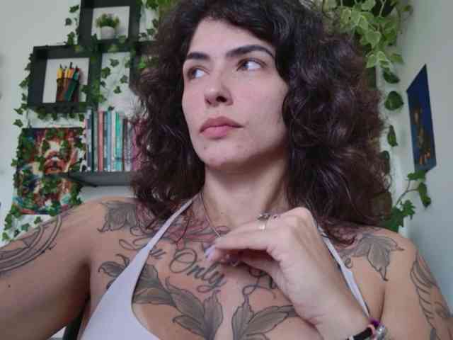 talimajesty webcam