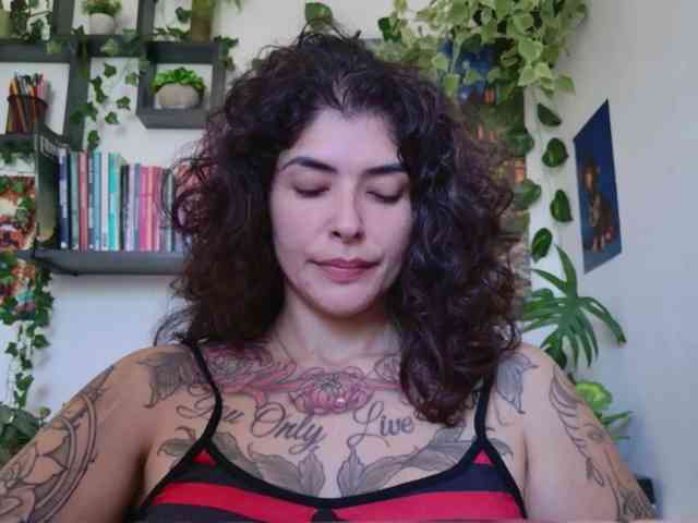talimajesty webcam